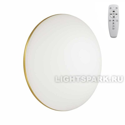 Светильник настенно-потолочный Sonex LASSA 3043/DL белый, в стиле модерн