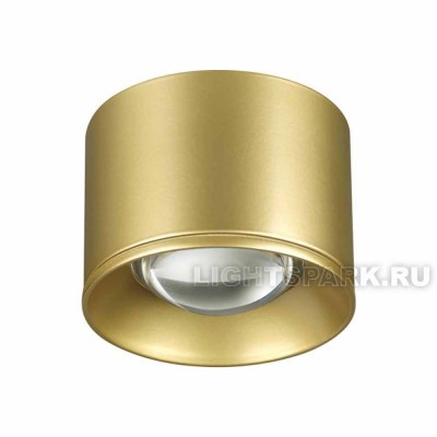 Светильник накладной светодиодный Novotech PATERA 358669 золото, в стиле техно