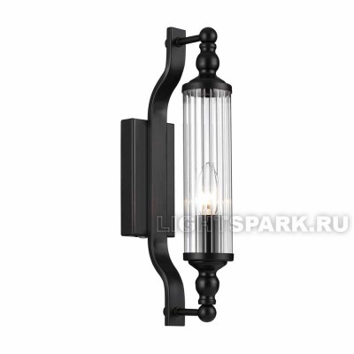 Светильник настенный Odeon Light TOLERO 4941/1W черный, прозрачный, в стиле модерн