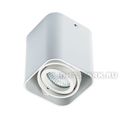 Светильник накладной точечный поворотный Megalight 5641 white белый