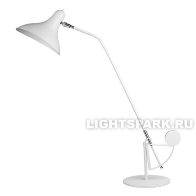 Lightstar Manti 764906 Настольная лампа