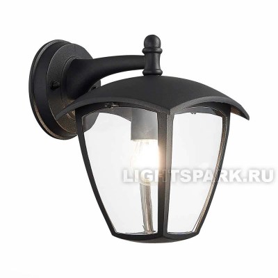 Светильник уличный настенный St Luce SIVINO SL081.411.01 черный, прозрачный, в стиле Модерн