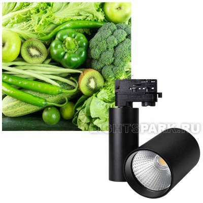 Светильник трековый трехфазный Arlight LGD-SHOP-4TR-R100-40W SP5000-Veg 5000k 026422 для подсветки зеленых овощей и фруктов в магазинах